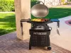 Gas grill Pit Boss Sportsman 2 with stand