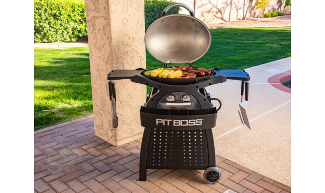 Gas grill Pit Boss Sportsman 2 with stand