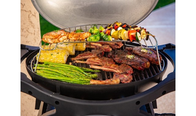 Gas grill Pit Boss Sportsman 2 with stand SPECIAL OFFER