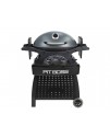 Gas grill Pit Boss Sportsman 3 with stand