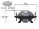 Portable Gas grill Pit Boss Sportsman 2