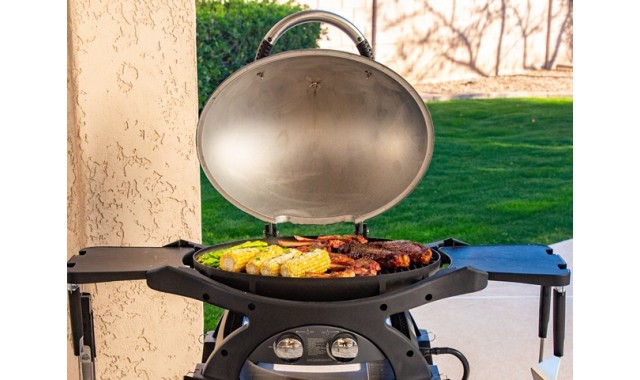 Portable Gas grill Pit Boss Sportsman 2