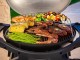 Portable Gas grill Pit Boss Sportsman 2