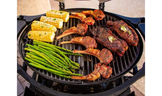 Portable Gas grill Pit Boss Sportsman 2