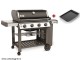 Backyard grill Genesis II E-410 with plate