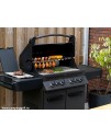 Grill gaz Napoleon PHANTOM Prestige P500 NOU