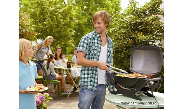 Grill electric Weber Q1400