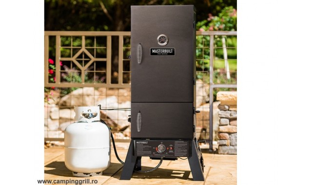 Dual Fuel Vertical Charcoal Gas Smoker Masterbuilt MDS230S