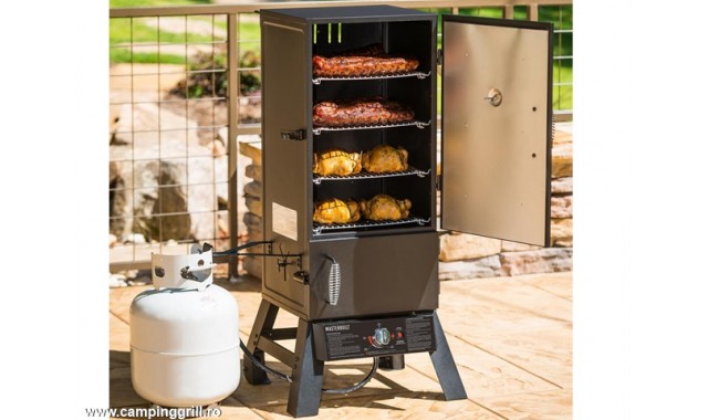 Dual Fuel Vertical Charcoal Gas Smoker Masterbuilt MDS230S