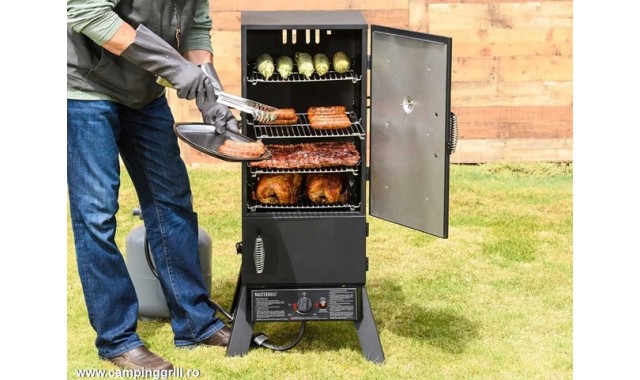 Dual Fuel Vertical Charcoal Gas Smoker Masterbuilt MDS230S