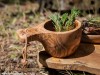 petromax kuksa cup made of olive wood