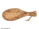 olivewood petromax flat spoon 25 cm