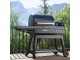  Ironwood Traeger pellet smoker grill