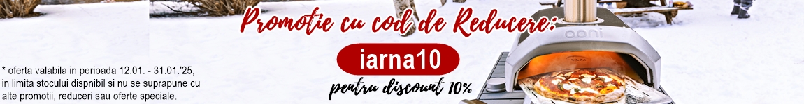 Iarna10